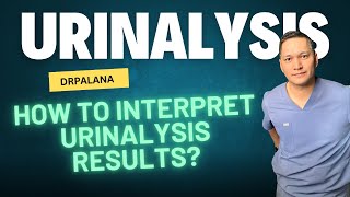 How To Interpret Urinalysis Results usmle medschool medicine [upl. by Hsetirp628]