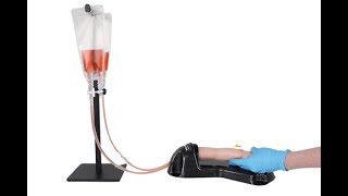 TruInfant IV Arm Realistic Pediatric IV Training [upl. by Lindo]