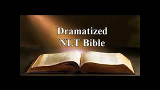 Dramatized NLT Audio Bible 1 Peter [upl. by Einnoj]