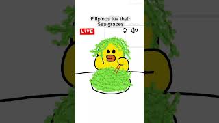 Filipinos luv Seagrapes funny eating filipino filipinofood seagrape asmr [upl. by Haiel]