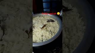 chicken bagara rice 🍚🐓 please subscribe to my channel 🙏🙏 [upl. by Swift170]