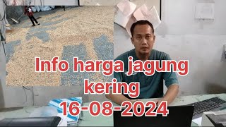 Info harga jagung kering hari ini 16082024 [upl. by Even]