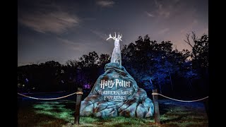 Harry Potter  A Forbidden Forest Experience Austin  Tx 1192024 [upl. by Akinwahs332]