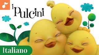 Pulcini  Italian Childrens Nursery Songs Italiano  Canticos [upl. by Netsirhc525]