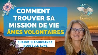 Comment trouver votre mission de vie  etape 1 comprendre [upl. by Anigroeg783]