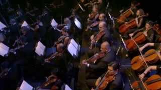 Juan Gabriel MIS 40 EN BELLAS ARTES 2014 HD [upl. by Ilrebmyk233]