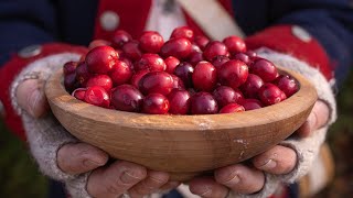 Founding Father Food  Cranberries [upl. by Larual]