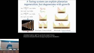 Inference and design of gene regulatory  Daniel Lobo  Distinguished Keynotes  GLBIO 2024 [upl. by Durante]