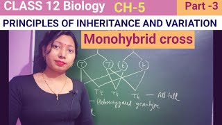 Monohybrid cross Class 12 biology CH 5NCERTNEETbiology neet [upl. by Naillig]