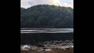 Loch linnhe scotlandhighlands nature scotland outdoors [upl. by Rheims387]