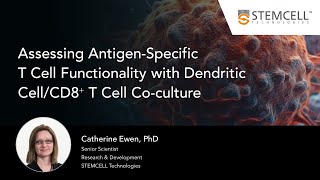 Assessing AntigenSpecific TCell Functionality with Dendritic CellCD8⁺ T Cell Coculture [upl. by Malorie]