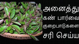 கண்கள் மேனி பளபளக்க சிவப்பு பொன்னாங்கண்ணி கீரை  Ponnanganni keerai kootu in tamil  keerai recipes [upl. by Khalil]