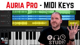 Auria Pro  MIDI keys time 🎹 [upl. by Ecirtahs]