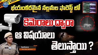 భయంకరమైన నల్లమల ఫారెస్ట్ లో కెమెరాలు ద్వారా ఆ విషయాలు తెలుస్తాయి Amrabad Tiger ReserveiDream [upl. by Bull]