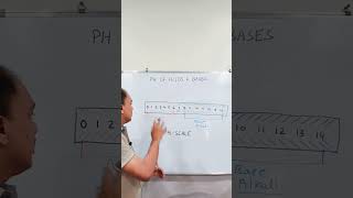 pH OF ACIDS amp BASES  PH SCALE  CLASS 10  NCERT  shorts shortfeed science cbseclass10 cbse [upl. by Bagley]