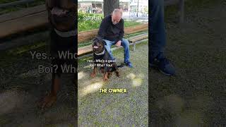 Dog Comforts Man Who Lost His Dog ❤️ [upl. by Warford30]