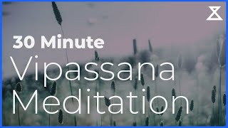 30 Minute Guided Vipassana Meditation [upl. by Vaules646]