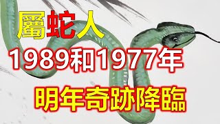 1989年和1977年出生的屬蛇人來說，2024年是事業發展的黃金時期。只要屬蛇人抓住機會，能上升到一個新的高度。不過不可居功自傲。屬蛇人表現得過於高調會從高處摔下，十二生肖，2024生肖運勢（生肖） [upl. by Adiehsar]