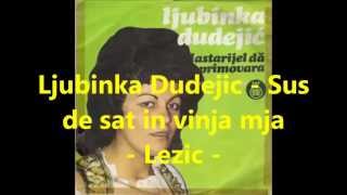 Ljubinka Dudejic Sus de sat in vinja mja [upl. by Collete]