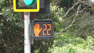 Leotek LED Pedestrian Signal in Concord California [upl. by Eahsal]