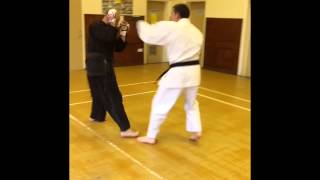 Goju Ryu Karate  Kumite [upl. by Somerville]