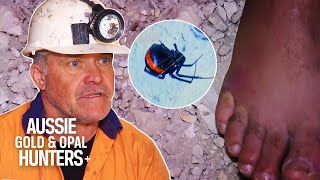 A VENOMOUS Spider Bite Takes Chris Cheal Out Of The Opal Game  Outback Opal Hunters [upl. by Dunston]