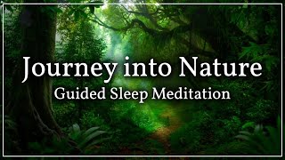 Guided Sleep Meditation Forest Walk  For Falling Asleep amp Relaxation [upl. by Leafar]