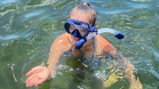 Scalloping in Homosassa Fl [upl. by Misha]