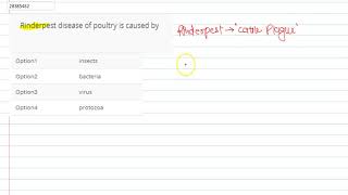 Rinderpest disease of poultry is caused by [upl. by Agretha]