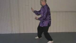 24 Form Tai Chi  Lesson 12  Grasp Birds Tail  part 4 [upl. by Eldrida]