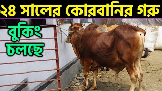 ২৪ সালের কোরবানির গরু বুকিং  ShakibAgrovet [upl. by Inanak]