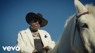 Peewee Longway Cassius Jay  White Horse Official Video [upl. by Yetac]