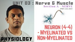 PHY03007Neuron 44 – Myelinated vs Unmyelinated  Dr Prashant Sharma [upl. by Eatnoled]