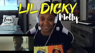 Lil Dicky  Molly x Brendon Urie  REACTION🔥 [upl. by Ahsaele]