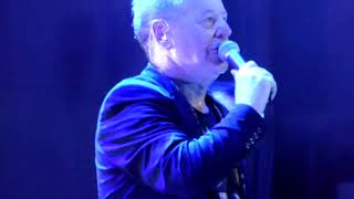 SIMPLE MINDS quotDolphins  Theme For Great Citiesquot Roma 27072014 Greatest Hits Tour [upl. by Zarah]