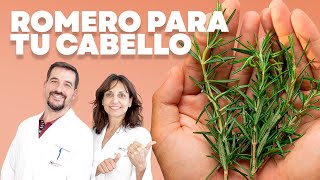 🌿 Cómo Preparar y Utilizar ROMERO para el Cabello [upl. by Ahsircal]