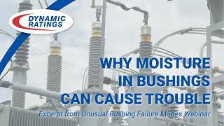 Why Moisture in Bushings Can Cause Trouble [upl. by Mcmath]