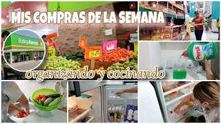 DESPENSA SEMANAL ✅ ORGANIZACIÓN Y LIMPIEZA amadecasa hogar [upl. by Asyal35]