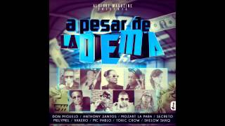 A Pesar De La Dema  Don Miguelo Ft Anthony Santo Toxic Crow  Vakero  Mozart Vakero y Mas [upl. by Nylaj918]