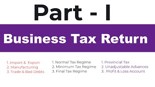 Filing Your First Professional Business Tax Return Everything You Need to Know Part 1 [upl. by Acinehs311]