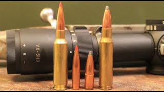 65 Creedmoor vs 308 Winchester Which One Should You Hunt With [upl. by Esyli]