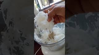 White radish chutneyrecipe in TamilHealthy recipe healthy food cooking [upl. by Nigem]