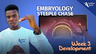 3RD WEEK OF DEVELOPMENT EMBRYOLOGY STEEPLECHASE QUESTIONS [upl. by Acirretal]