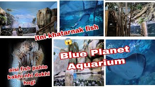 Blue Planet Aquarium  Cheshire Oaks  Full Tour from Entrance to Endouting vloguk vlog🇬🇧 [upl. by Valerle440]