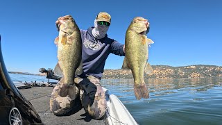 Quick report for Lake Berryessa and Clear Lake [upl. by Waller769]