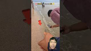 GURITA tentakel ⁉️ smalloctopus beach octopus gurita dubbing [upl. by Dolan33]