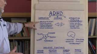 What Is ADHD [upl. by Barimah776]