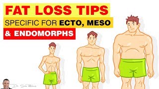 ⚖️ Fat Loss Tips Specific For Ecto Meso amp Endomorphs  by Dr Sam Robbins [upl. by Asselem]