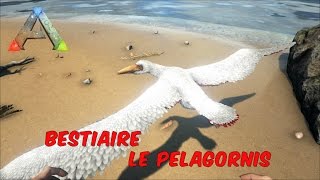 Ark Survival Evolved  FR  Bestiaire  Le Pelagornis [upl. by Anirbed18]