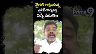 వైరల్ అవుతున్న వైసీపీ కార్యకర్త సెల్ఫీ వీడియో  YCP Leader Viral Selfie Video  Shorts  Prime9 News [upl. by Attegroeg353]